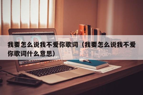我要怎么说我不爱你歌词（我要怎么说我不爱你歌词什么意思）