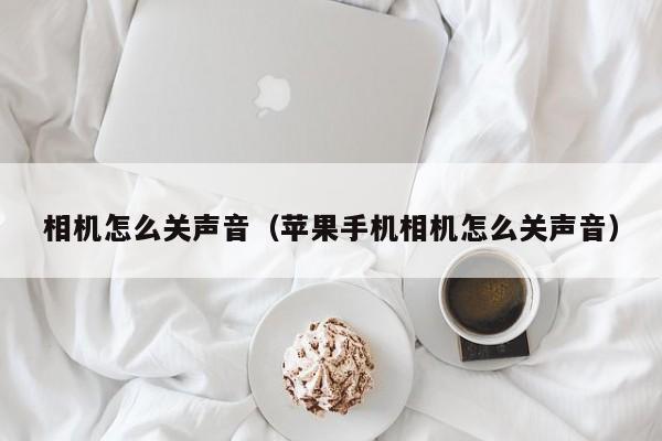 相机怎么关声音（苹果手机相机怎么关声音）