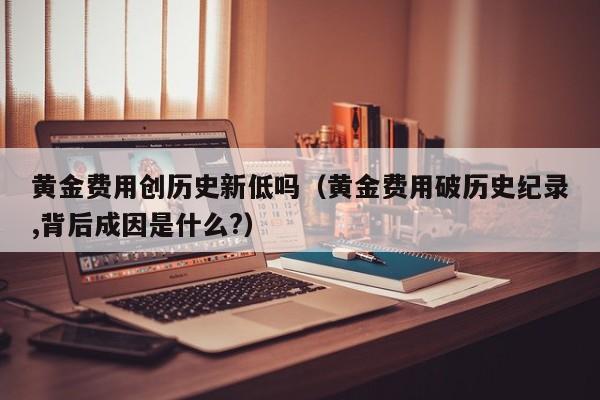 黄金费用创历史新低吗（黄金费用破历史纪录,背后成因是什么?）