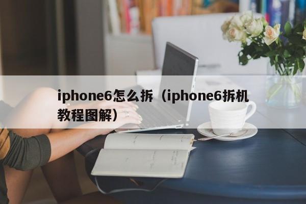 iphone6怎么拆（iphone6拆机教程图解）