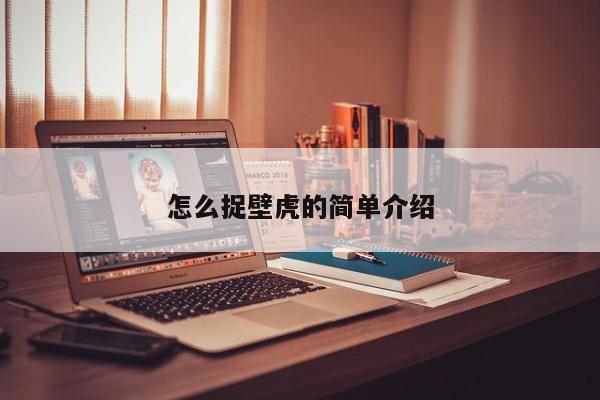 怎么捉壁虎的简单介绍