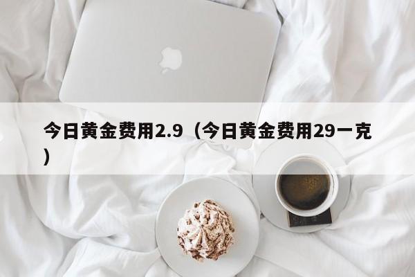 今日黄金费用2.9（今日黄金费用29一克）