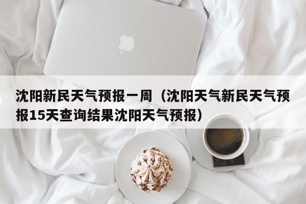 沈阳新民天气预报一周（沈阳天气新民天气预报15天查询结果沈阳天气预报）