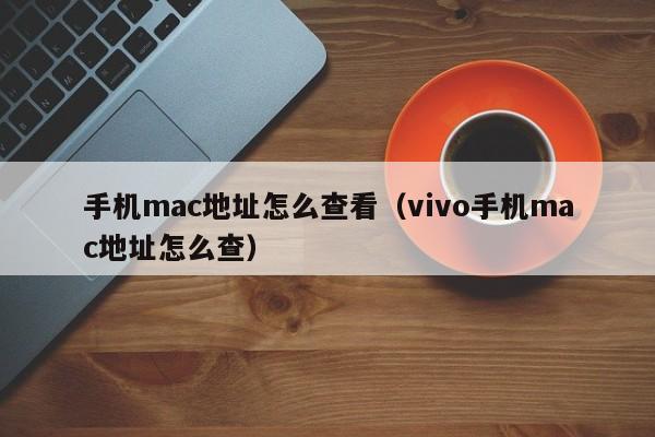 手机mac地址怎么查看（vivo手机mac地址怎么查）