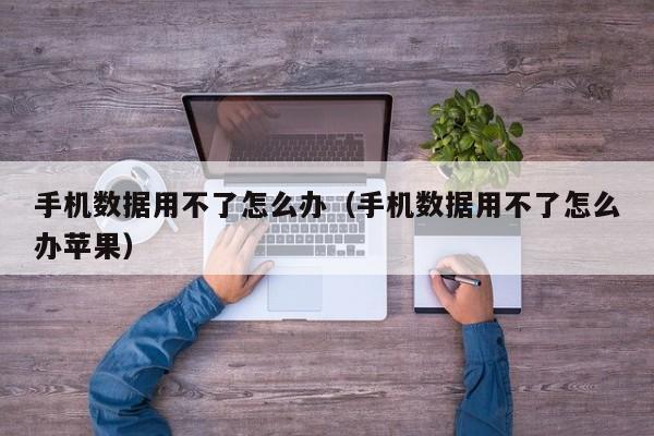 手机数据用不了怎么办（手机数据用不了怎么办苹果）