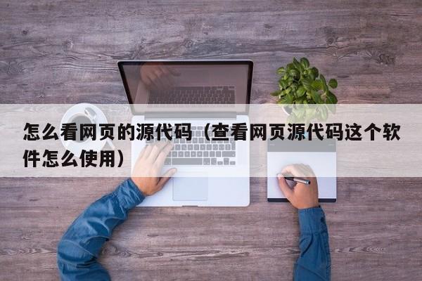 怎么看网页的源代码（查看网页源代码这个软件怎么使用）