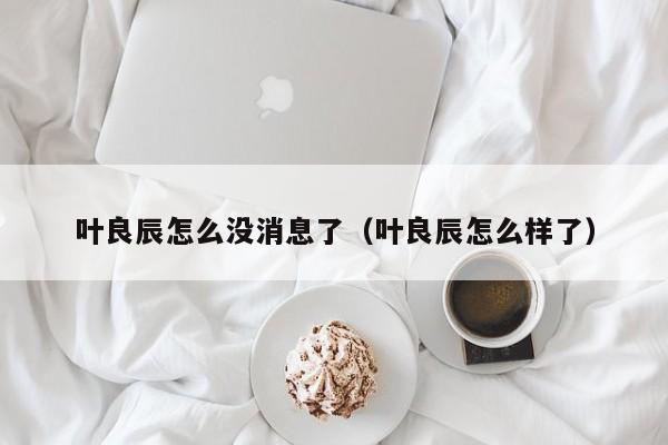 叶良辰怎么没消息了（叶良辰怎么样了）