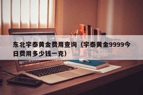东北宇泰黄金费用查询（宇泰黄金9999今日费用多少钱一克）