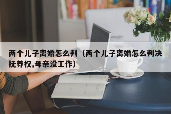 两个儿子离婚怎么判（两个儿子离婚怎么判决抚养权,母亲没工作）