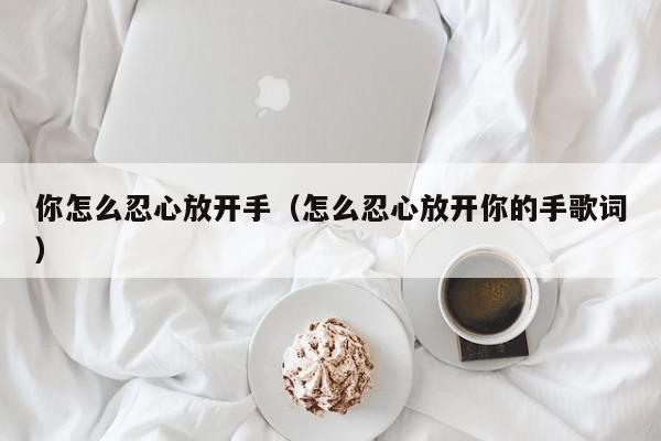 你怎么忍心放开手（怎么忍心放开你的手歌词）