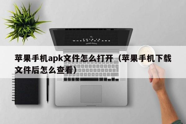 苹果手机apk文件怎么打开（苹果手机下载文件后怎么查看）