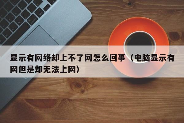 显示有网络却上不了网怎么回事（电脑显示有网但是却无法上网）