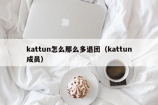 kattun怎么那么多退团（kattun成员）