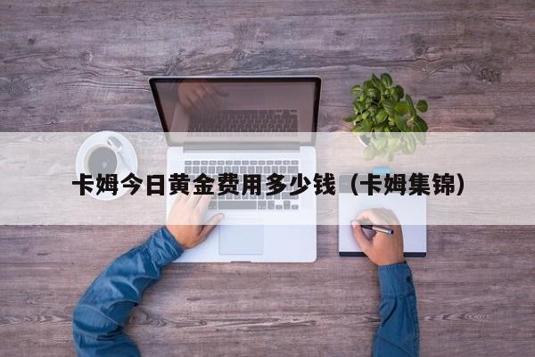卡姆今日黄金费用多少钱（卡姆集锦）