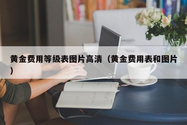 黄金费用等级表图片高清（黄金费用表和图片）