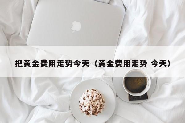 把黄金费用走势今天（黄金费用走势 今天）
