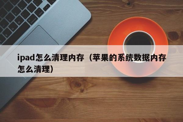ipad怎么清理内存（苹果的系统数据内存怎么清理）