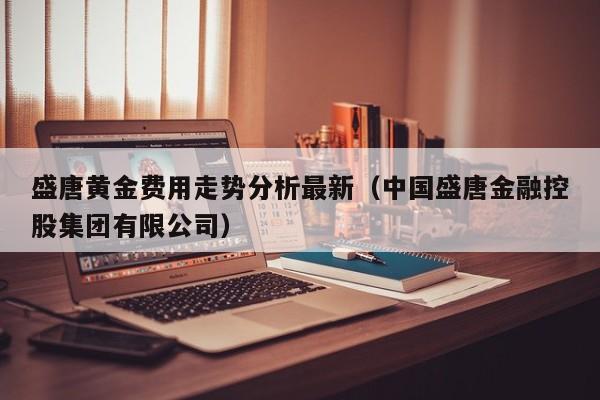 盛唐黄金费用走势分析最新（中国盛唐金融控股集团有限公司）