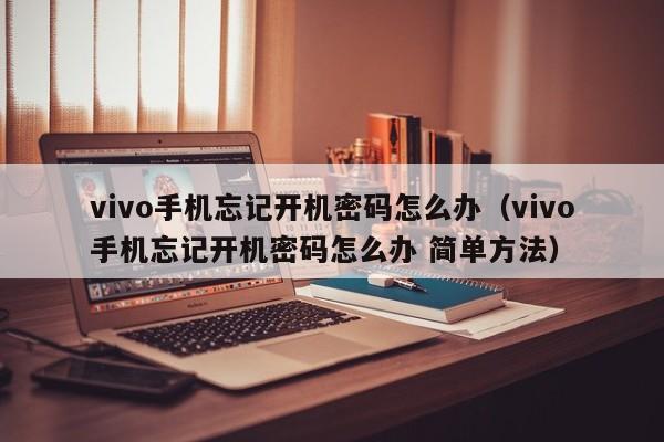 vivo手机忘记开机密码怎么办（vivo手机忘记开机密码怎么办 简单方法）