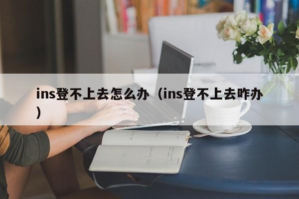 ins登不上去怎么办（ins登不上去咋办）