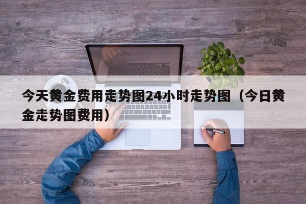 今天黄金费用走势图24小时走势图（今日黄金走势图费用）