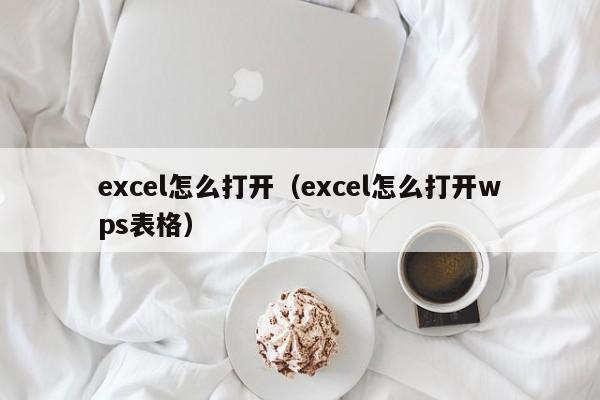 excel怎么打开（excel怎么打开wps表格）