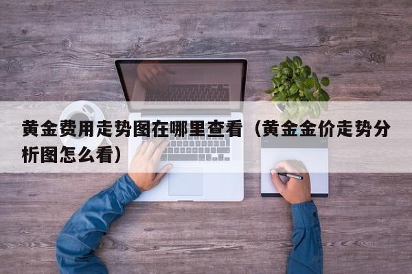 黄金费用走势图在哪里查看（黄金金价走势分析图怎么看）
