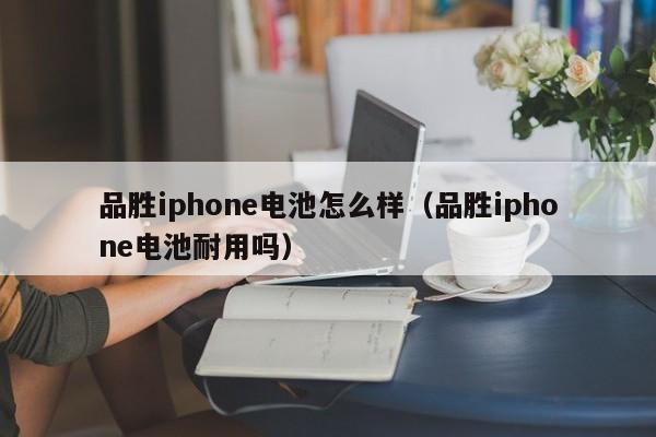 品胜iphone电池怎么样（品胜iphone电池耐用吗）