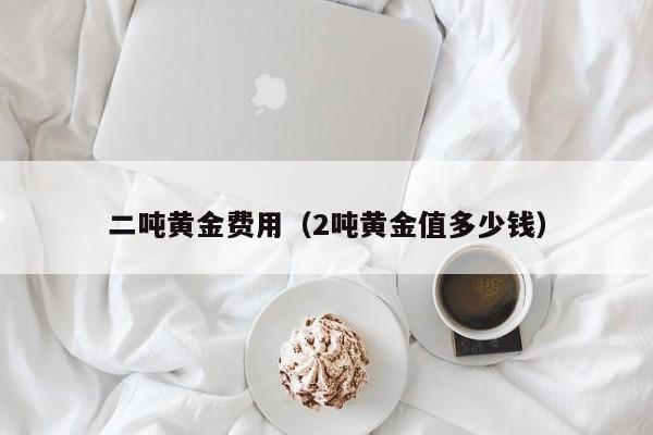 二吨黄金费用（2吨黄金值多少钱）