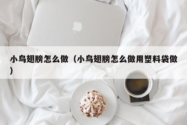 小鸟翅膀怎么做（小鸟翅膀怎么做用塑料袋做）
