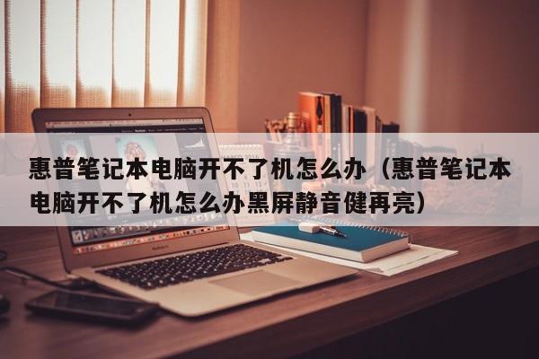 惠普笔记本电脑开不了机怎么办（惠普笔记本电脑开不了机怎么办黑屏静音健再亮）