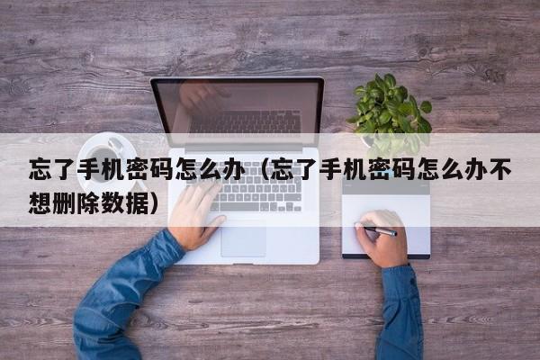 忘了手机密码怎么办（忘了手机密码怎么办不想删除数据）