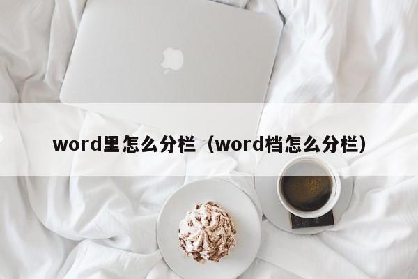 word里怎么分栏（word档怎么分栏）