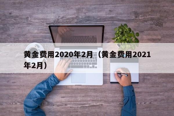 黄金费用2020年2月（黄金费用2021年2月）