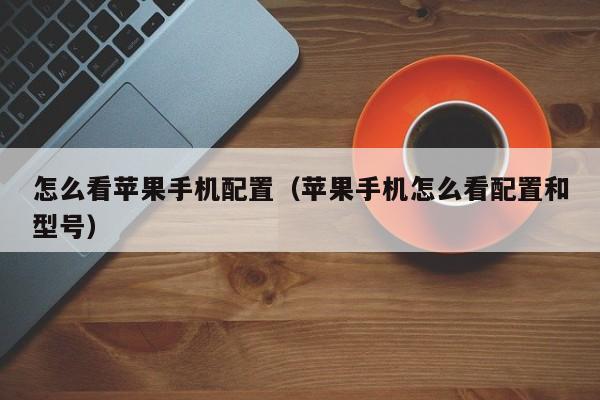 怎么看苹果手机配置（苹果手机怎么看配置和型号）