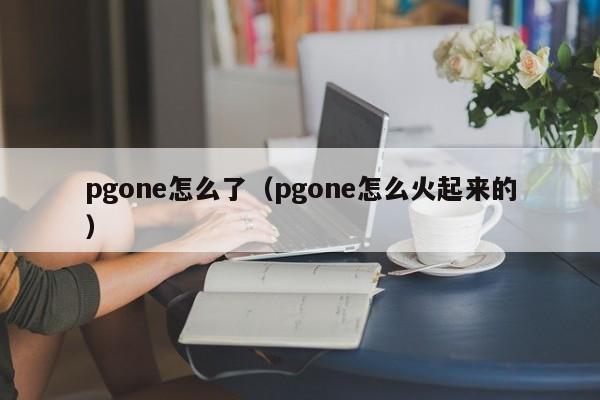 pgone怎么了（pgone怎么火起来的）