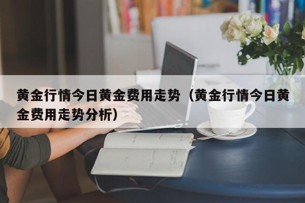 黄金行情今日黄金费用走势（黄金行情今日黄金费用走势分析）