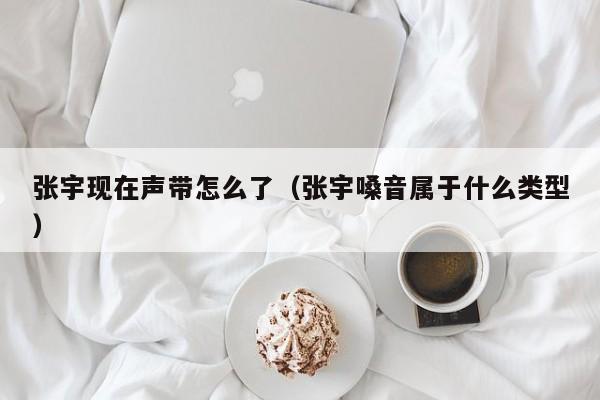 张宇现在声带怎么了（张宇嗓音属于什么类型）