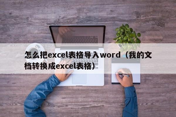 怎么把excel表格导入word（我的文档转换成excel表格）