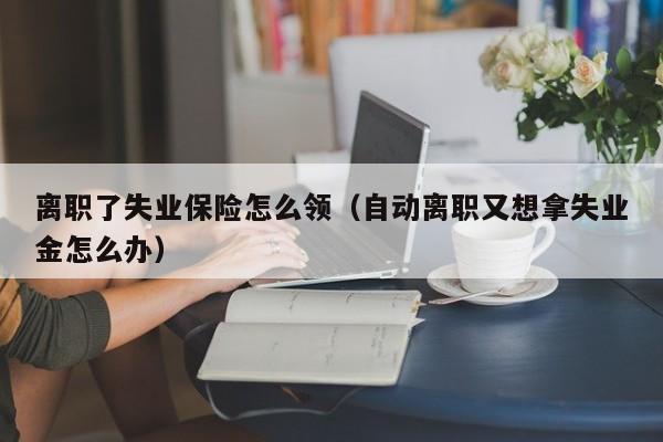 离职了失业保险怎么领（自动离职又想拿失业金怎么办）