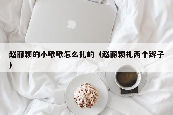 赵丽颖的小啾啾怎么扎的（赵丽颖扎两个辫子）