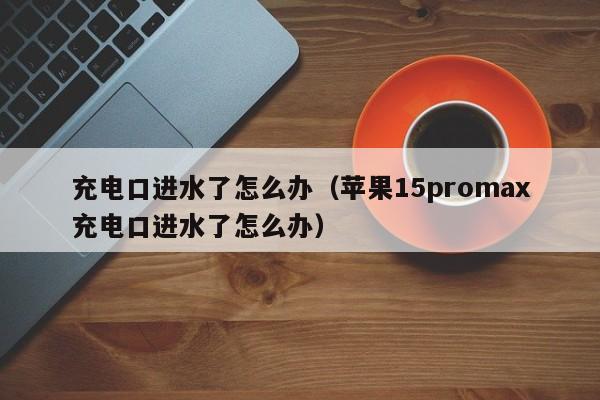 充电口进水了怎么办（苹果15promax充电口进水了怎么办）