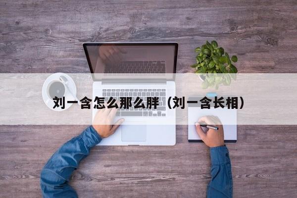 刘一含怎么那么胖（刘一含长相）