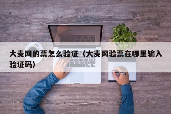 大麦网的票怎么验证（大麦网验票在哪里输入验证码）
