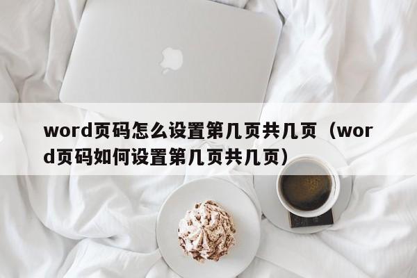 word页码怎么设置第几页共几页（word页码如何设置第几页共几页）