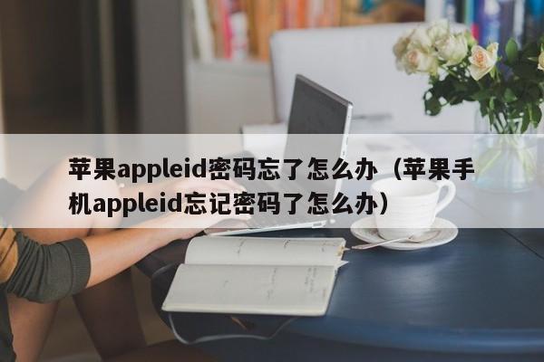 苹果appleid密码忘了怎么办（苹果手机appleid忘记密码了怎么办）