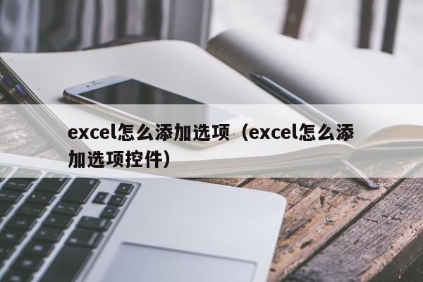 excel怎么添加选项（excel怎么添加选项控件）