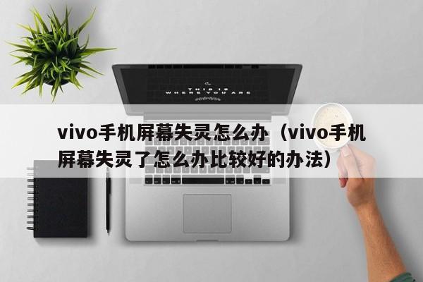 vivo手机屏幕失灵怎么办（vivo手机屏幕失灵了怎么办比较好的办法）