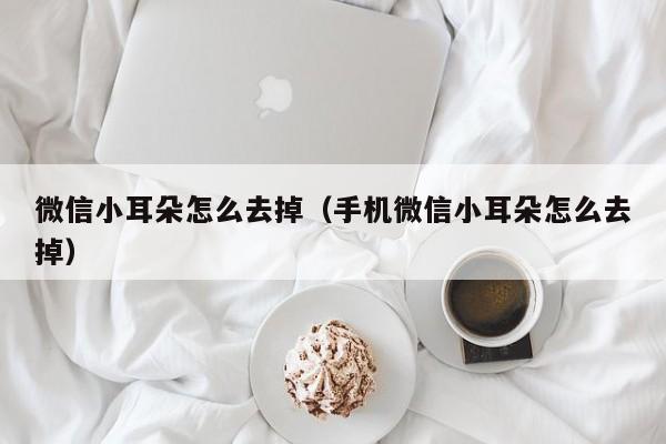 微信小耳朵怎么去掉（手机微信小耳朵怎么去掉）
