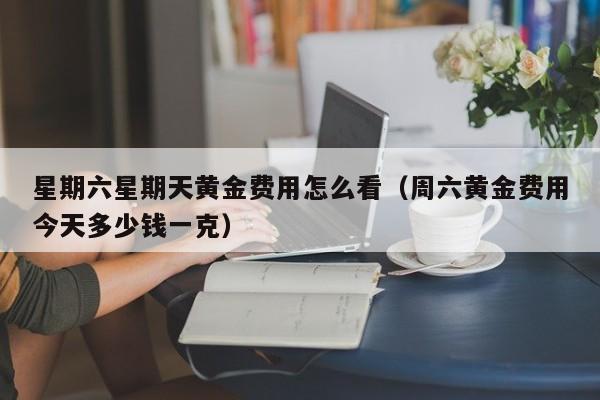星期六星期天黄金费用怎么看（周六黄金费用今天多少钱一克）